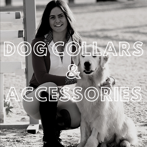 Dog Collars &amp; Accessories