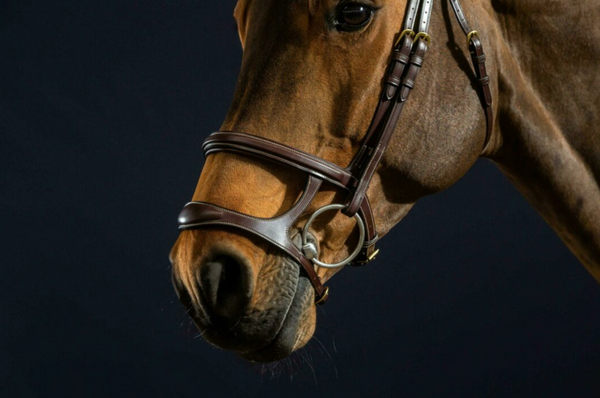 DYON DOUBLE NOSEBAND BRIDLE WITH SILVER HARDWARE