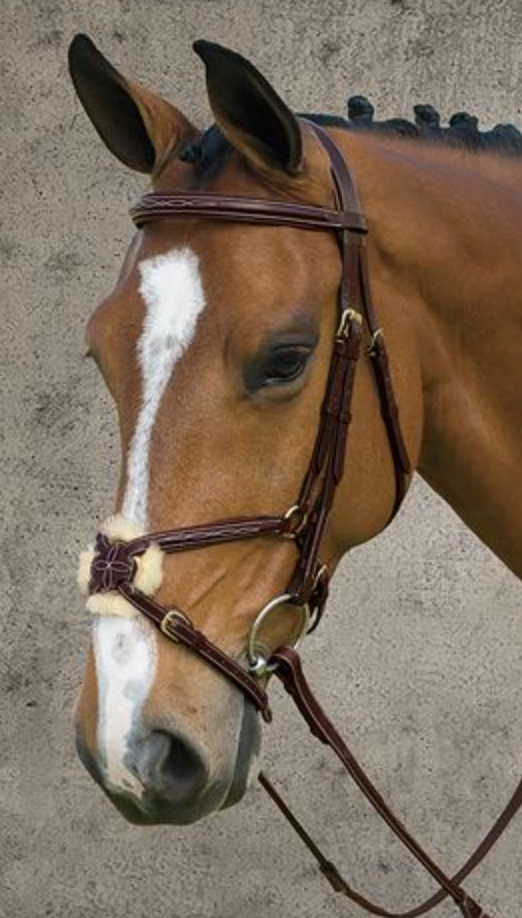DYON FIGURE EIGHT BRIDLE DYAAAC – Riders Boutique