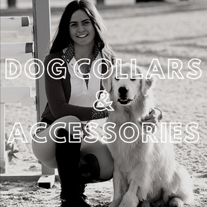 Dog Collars & Accessories