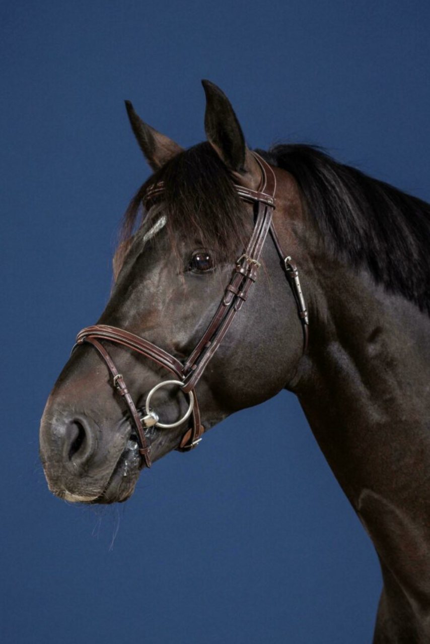 DYON FLASH NOSEBAND BRIDLE WITH SILVER HARDWARE