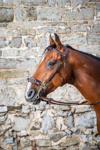 DYON HACKAMORE BRIDLE