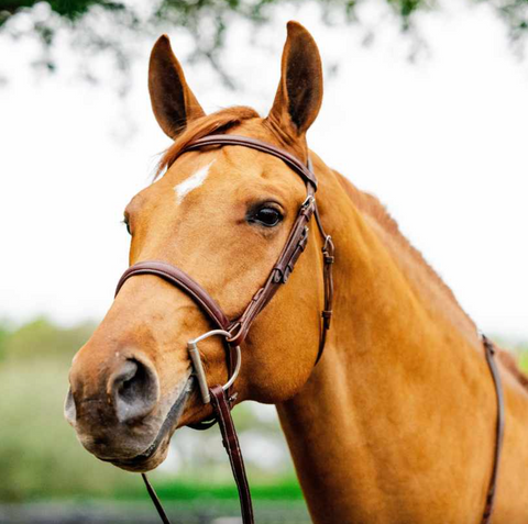 TackHack Classic Hunter Bridle with Laced Reins