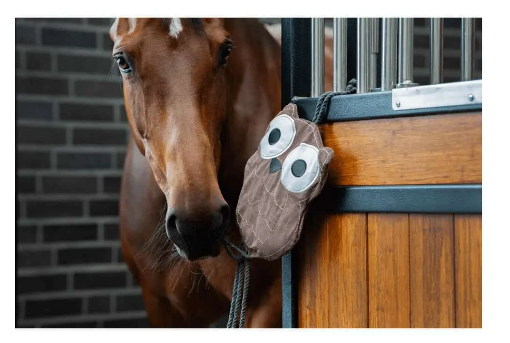 ESKADRON OWL STALL TOY