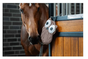 ESKADRON OWL STALL TOY