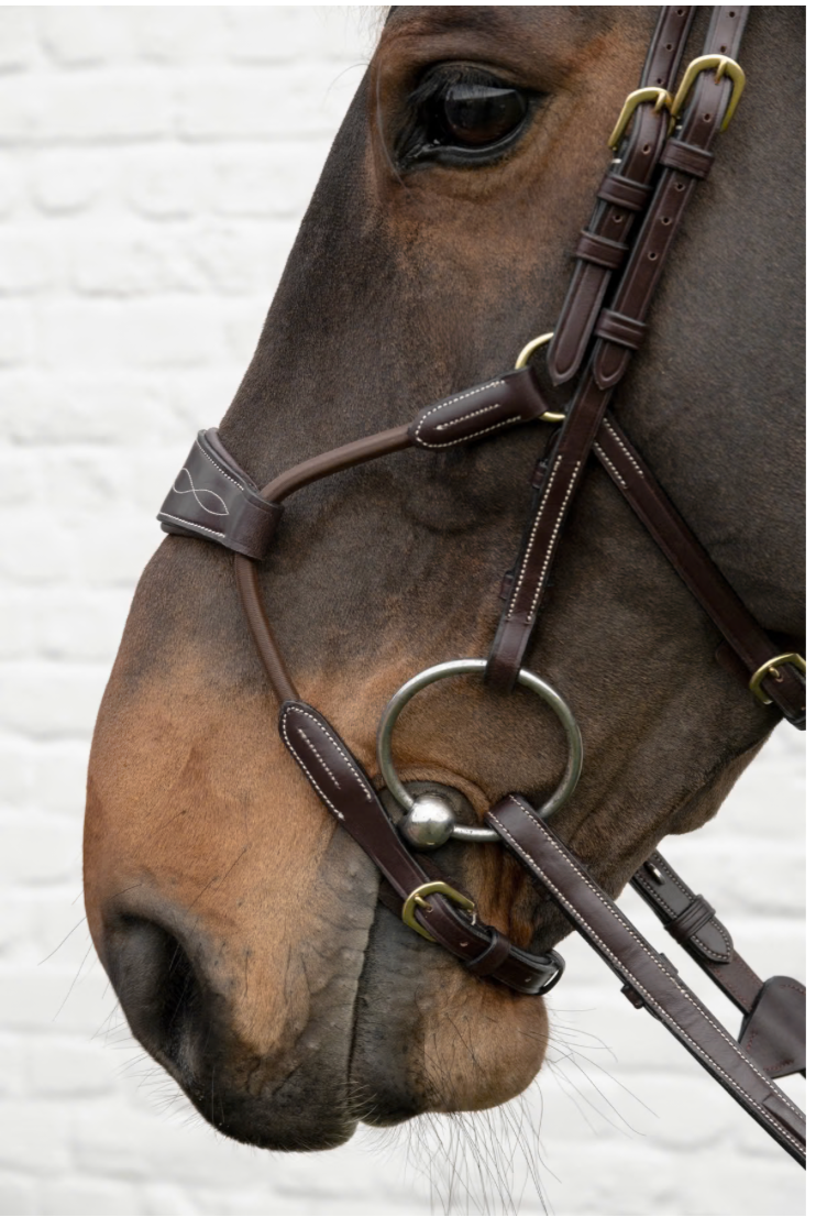 DYON ELASTIC HYBRID NOSEBAND
