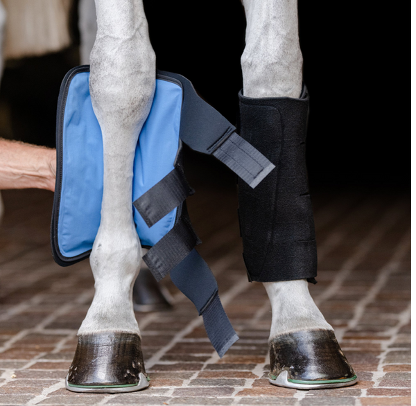EQUIFIT COLD THERAPY TENDON WRAP