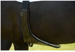 EQUIFIT BELLY GUARD W/ SHEEPSWOOL