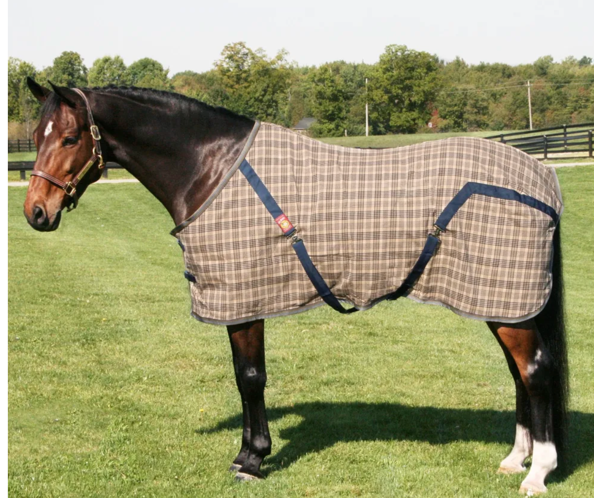 BAKER STABLE BLANKET CUSTOM WITH LEG STRAPS, FLEECE WITHERS, AND NYLON SHOULDER