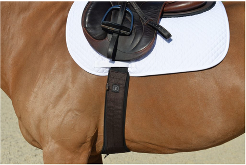 EQUIFIT ESSENTAIL SCHOOLING GIRTH